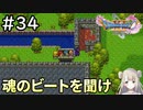 #34【女性実況】ドラゴンクエスト11Sで癒される！魂のビートを聞け！(ドラクエ11s)
