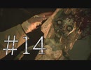 【実況】オラこんな村いやだけどクリアを目指す【BIOHAZARD VILLAGE】#14