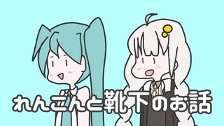 れんこんと靴下のお話