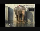 地球生物会議ALIVE 「動物園は、楽しいですか?」 CM