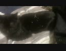 2022/02/19 18:56 ちっけ 配信アーカイブ　