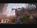 【ゆっくり実況】Horizon Zero Dawn その37