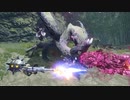 ナズチ 4:46 通常ガンランス 操竜あり