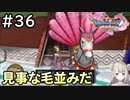 #36【女性実況】ドラゴンクエスト11Sで癒される！見事な毛並みだ(ドラクエ11s)