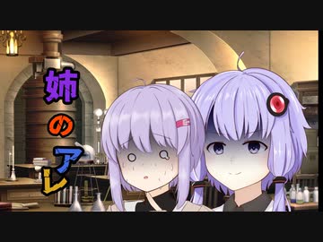 【ソフトウェアトーク劇場】姉のアレ