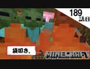 《Minecraft》てきとうサバイバル189話目。〜おしゃれと機能のロマン装備で袋叩きにあいました。〜