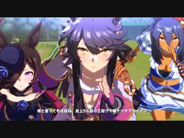 ウマ娘メインストーリー４章 ナリタブライアン有馬記念