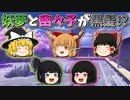 【ゆっくり茶番】黒妖夢と黒幽々子が登場