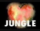 JUNGLE 全バージョン＋おまけ