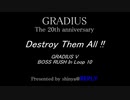 GRADIUS V BOSS RUSH In Loop 10 ( Presented by shinya@REPLY )