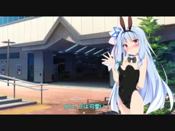 Aカップの良さを訴える葵ちゃん