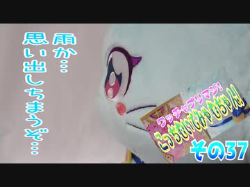 ワッチャプリマジ!こっちむいてみゃむちゃん!その37