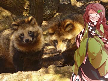 【講座動画投稿祭2021冬】タヌキに天下を取らせた漢達⑧【榊原康政】