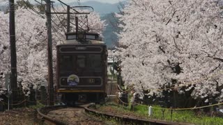 【スピッツ / ありふれた人生】歌ってみた