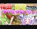 [VOICEVOX実況]大阪人なのに梅田で迷っている奴いる？俺だよ!!