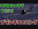 【今日のマインクラフト】～ブランチマイニング～ 【#236】