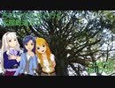 ちはたかみきと行く北越鉄道巡り part5 虫川大杉