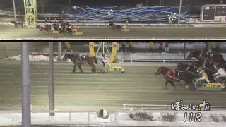 第43回チャンピオンカップ メムロボブサップ
