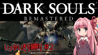 ダークソウルリマスター_いっかいきり縛り#2