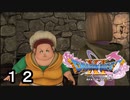 【ドラゴンクエストXI 過ぎ去りし時を求めて S】誰も自分を知らない故郷Part12