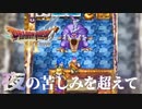 新たな力を得る【ドラゴンクエストⅥ幻の大地】#8