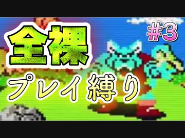 【エチエチ】勇者が全裸で竜王を討伐に出かけてみた！【ドラゴンクエスト 】#3
