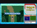 ポケモンレンジャー　フィオレ地方 活動報告書 21