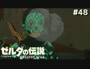 助けに来たなりに見えるか？【ゼルダの伝説 ブレス オブ ザ ワイルド㊽】