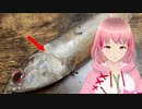 【ガイアナアマゾン】ルアー壊された！！！うんち！！！！！！