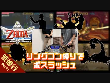 続！リングフィットアドベンチャーのリングコンでゼルダの伝説スカイウォードソードはプレイできるのか？【荒修行編】Part1