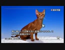 常識人を目指して【みんなの常識力テレビ】#18