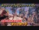 ホライゾン Forbidden West　逆賊の前哨基地攻略　骨白の裂け目　＃７９【ホライゾンゼロドーン2】