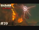 ゴロン大砲【ゼルダの伝説 ブレスオブザワイルド マスターモード】#39