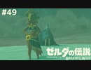 可愛らしいパートナー【ゼルダの伝説 ブレス オブ ザ ワイルド㊾】