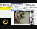 #730-2 2021年11月28日(日) ブルースが弾けなくて