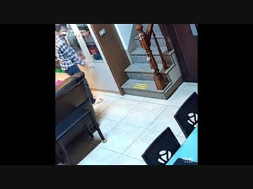 ホモとみる 主人に仕返ししたかった愛おしい猫