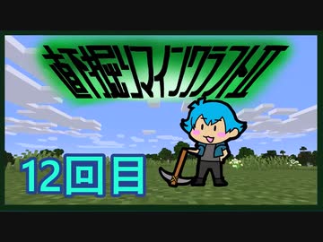 直下掘りマインクラフト2の12