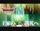 ヘタレ王子の護衛【ドラゴンクエストⅥ幻の大地】#10