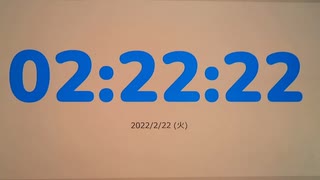 2022年2月22日2時22分22秒に猫の動画を見る動画