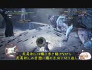 【MHWIB】安定思考笛ソロハンター　イヴェルカーナ