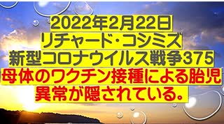【2022年02月22日：リチャード・コシミズ  Internet 講演（ 改良版 ）】