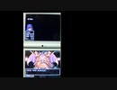 ドラクエ5　DS版　ミルドラース戦　主人公一人撃破　レベル45