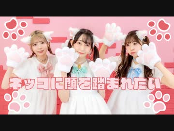 【やこわたりり】ネッコに顔を踏まれたい【踊ってみた】