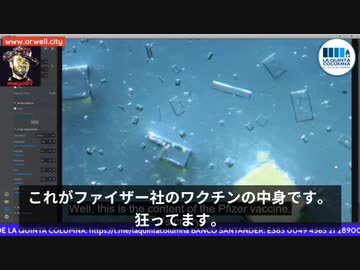 ファイザーワク●ンで結晶を餌にして成長するモルゲロン型構造物を発見