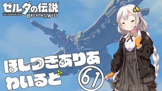 【ゼルダの伝説BotW】ほしつきありあわいるど Part61【VOICeVI実況】