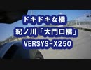 ドキドキな橋　紀ノ川「大門口橋」　VERSYS-X250