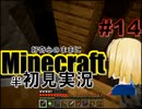 好奇心のままにMinecraftを半初見実況 part14