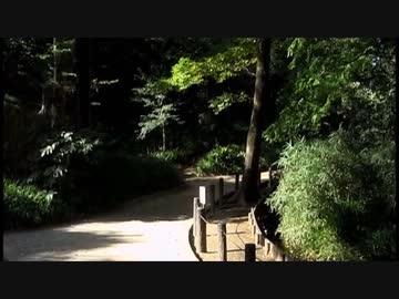 【音楽と景観】東京緑地#16｢おとめ山公園｣