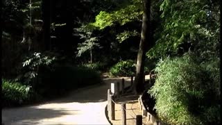 【音楽と景観】東京緑地#16｢おとめ山公園｣