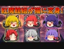 【ゆっくり茶番】紅魔館組が猫に変身